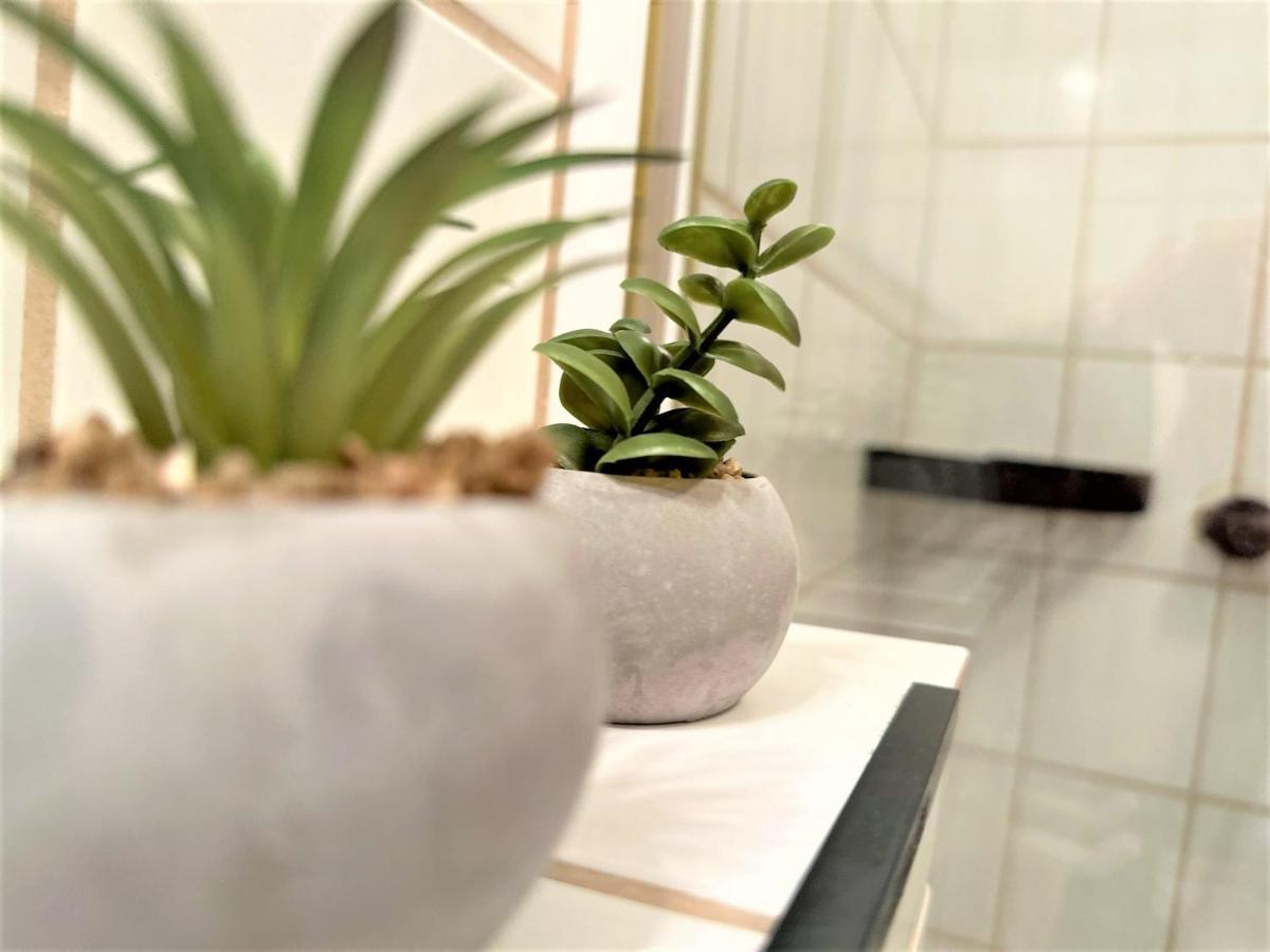 Cozy Apartment Bavarian Forest +Pool +Sauna +Netflix Zwiesel Bagian luar foto